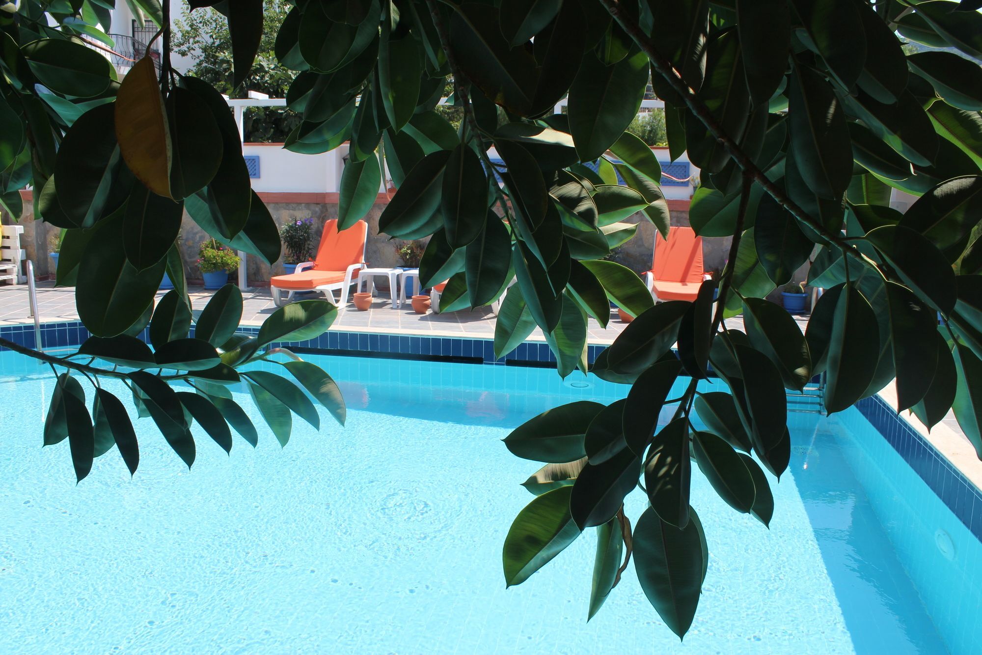 Oya Boutique Otel And Suites Bodrum Exterior photo