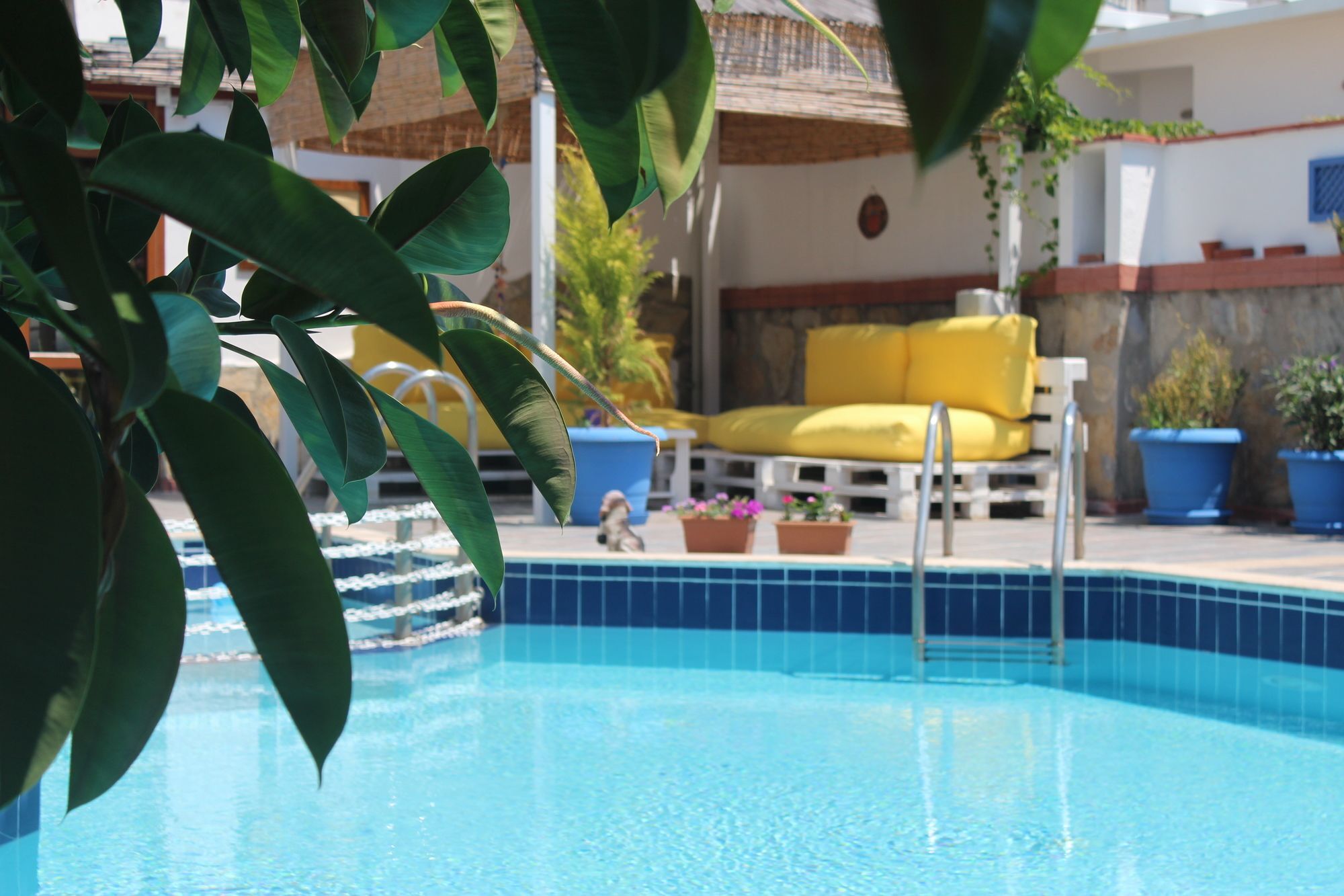 Oya Boutique Otel And Suites Bodrum Exterior photo